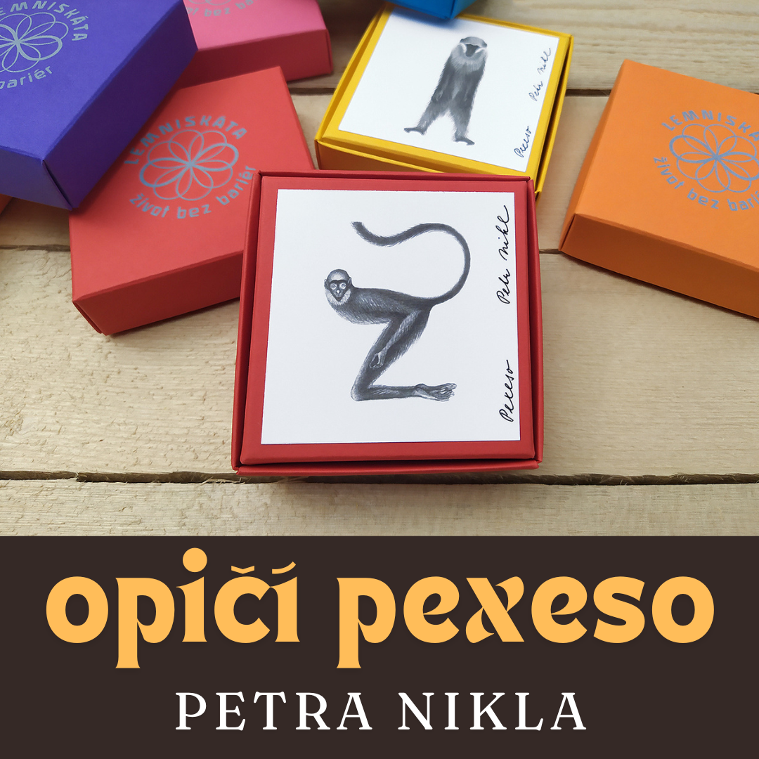 pexeso NIKL_baner2